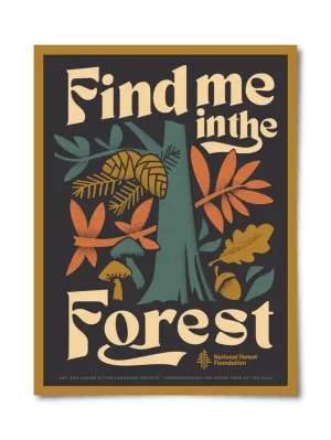 Find Me in the Forest - 12x16 Poster