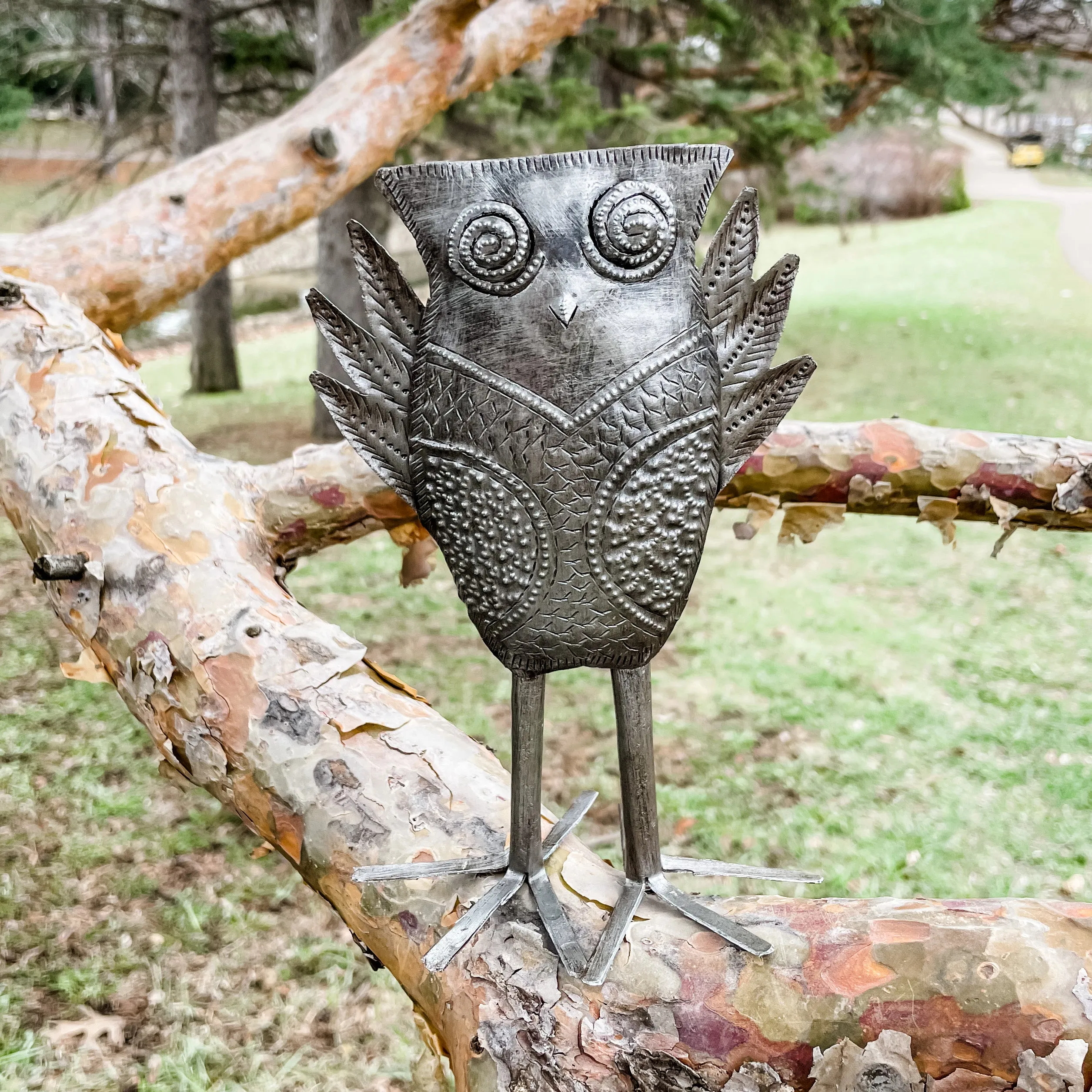 Kooky Owl